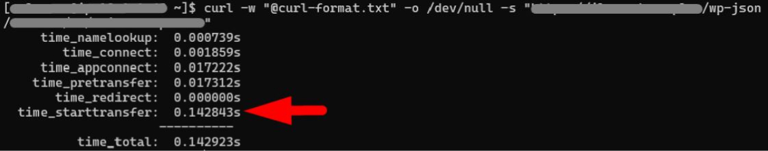 כיצד מצאנו ותיקנו בקשות API איטיות באתר WordPress