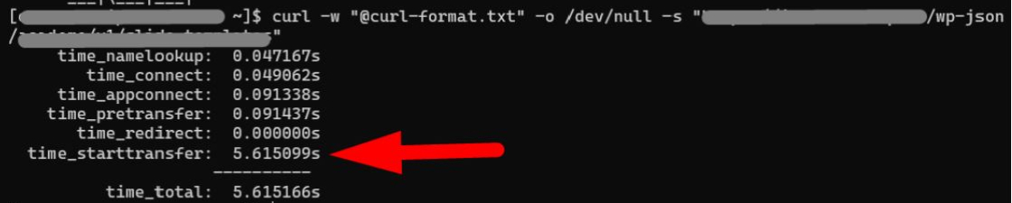 כיצד מצאנו ותיקנו בקשות API איטיות באתר WordPress